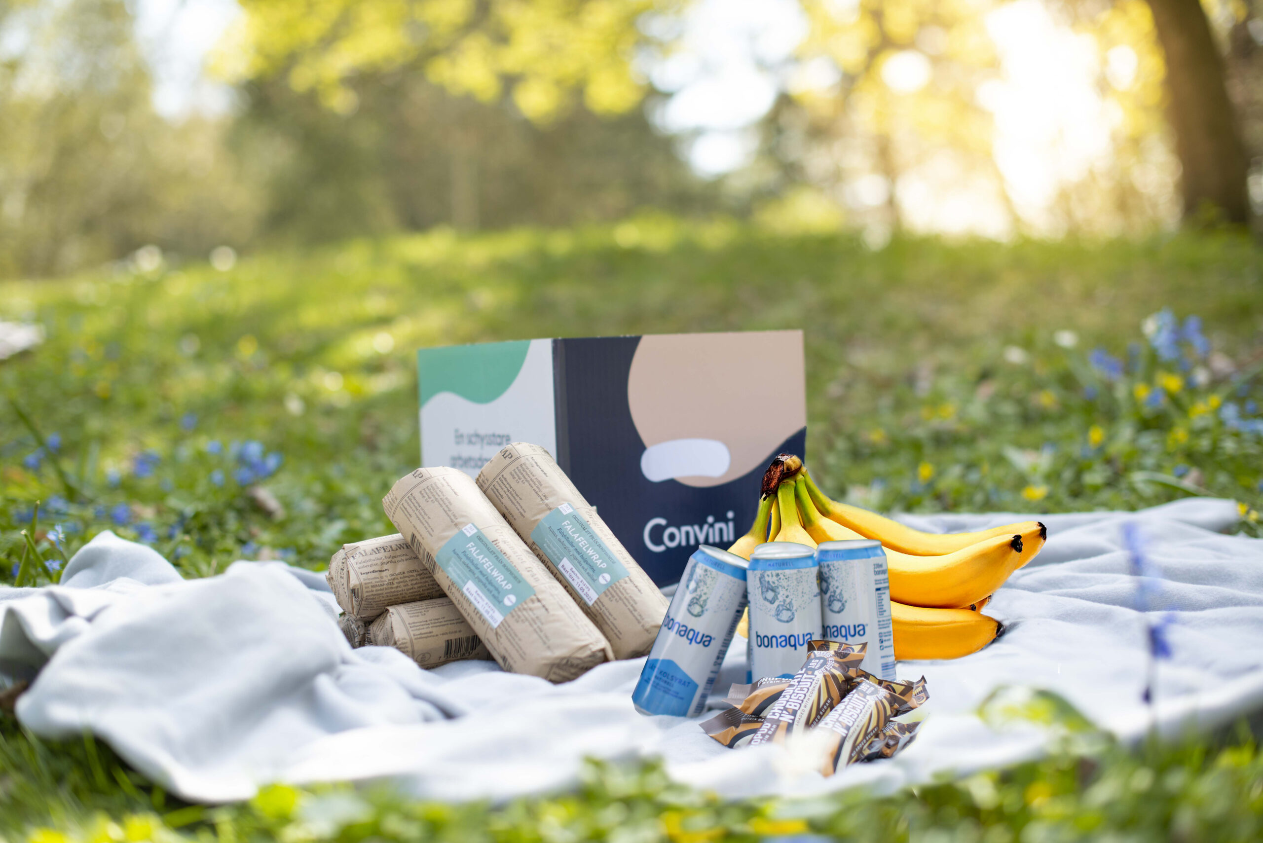 CS picknick bild