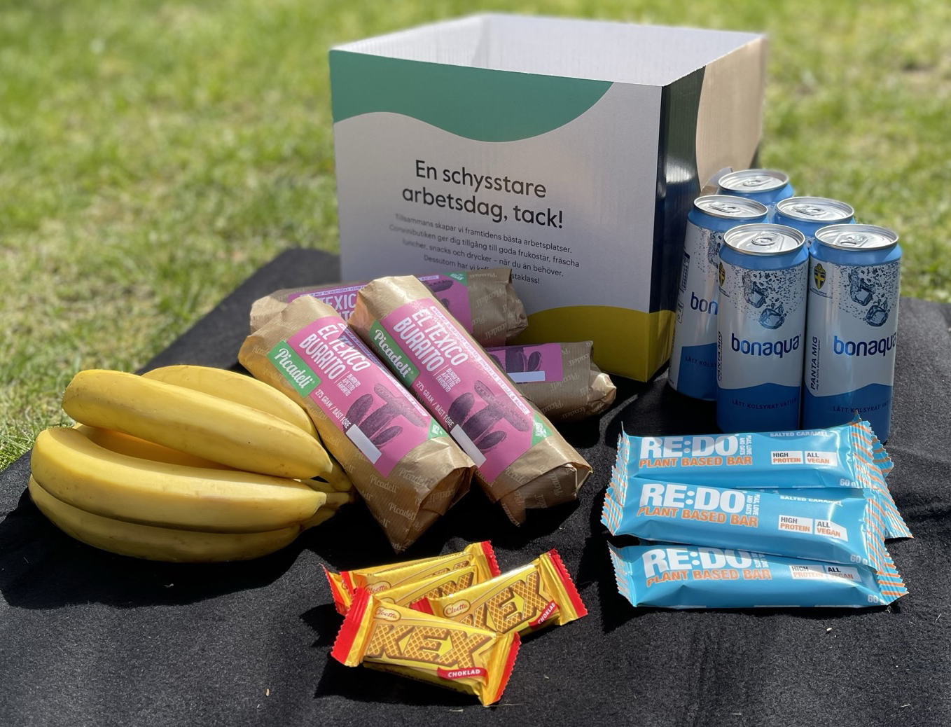 Picknick på filt Fixad